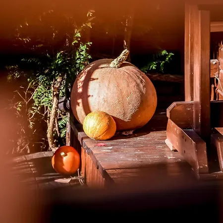 Dulakowka - Na Kazda Pogode * Piwniczna-Zdroj