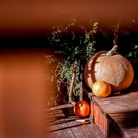 Dulakowka - Na Kazda Pogode