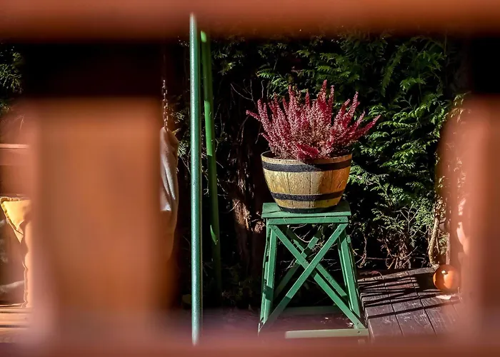 Dulakowka - Na Kazda Pogode شاليه *